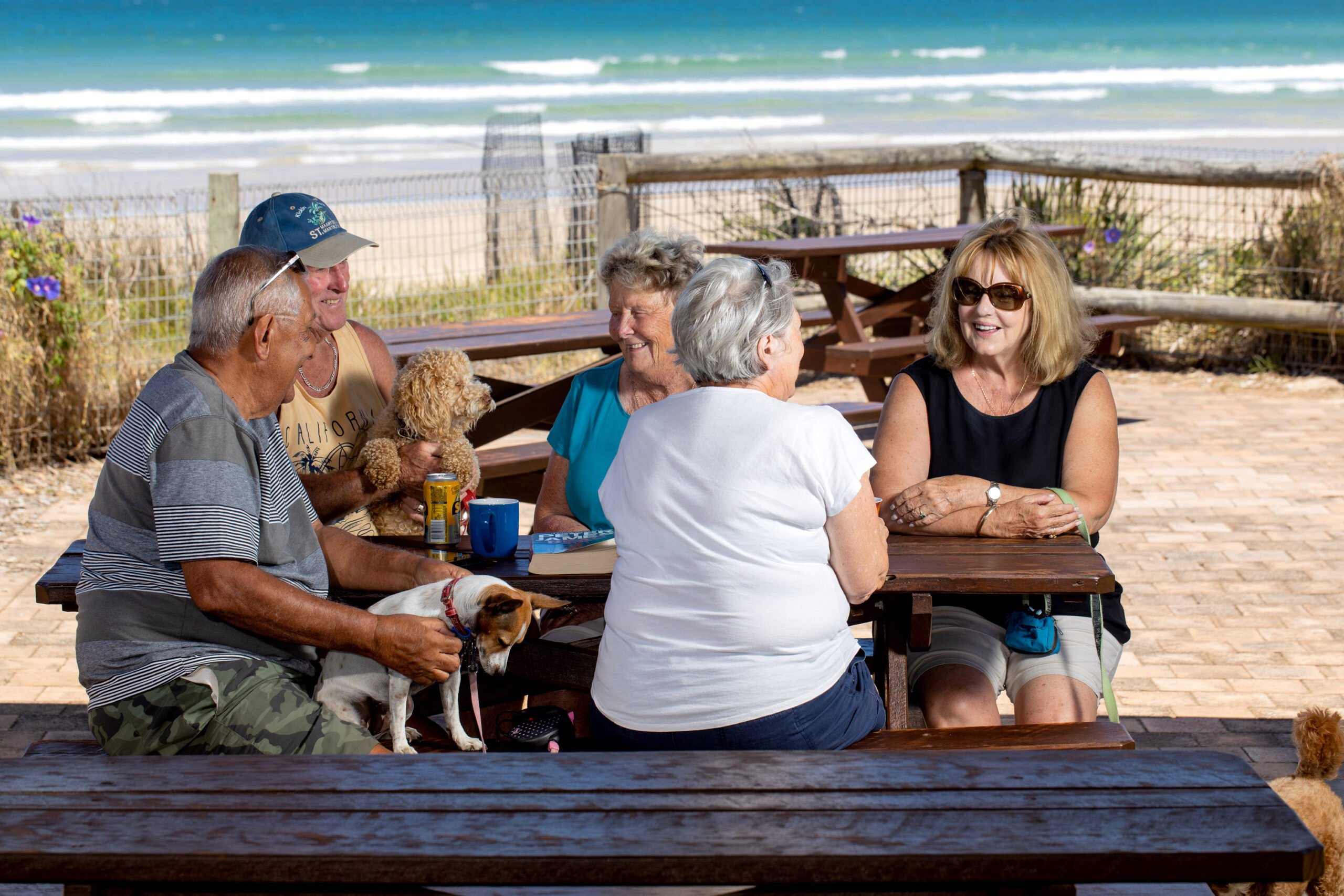 pet friendly dog beach woolgoolga coffs