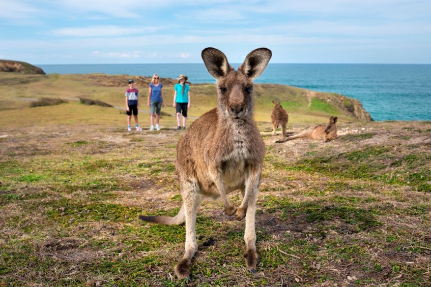 look at me now headland COFFS HARBOUR emerald beach