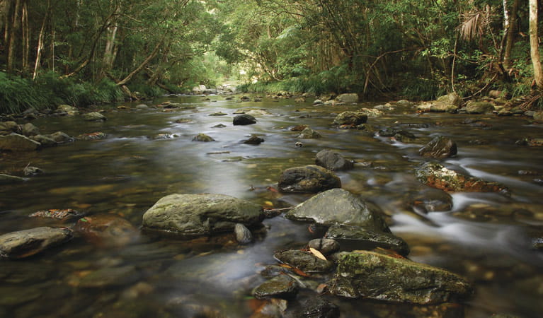 bindarri national park 