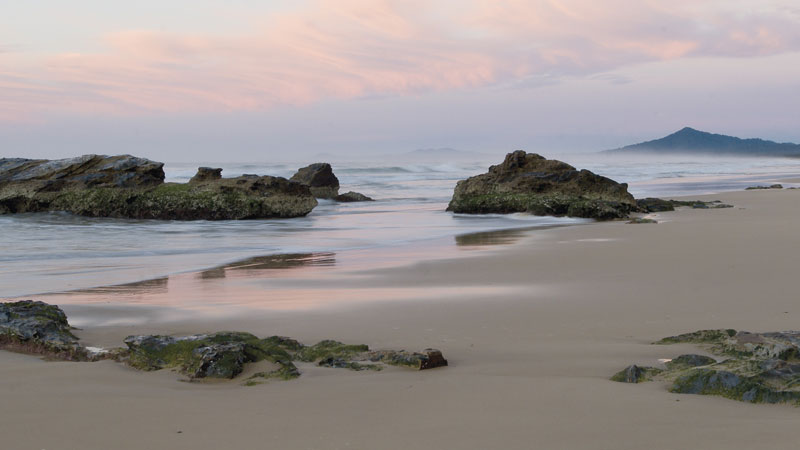 bongil bongil national park