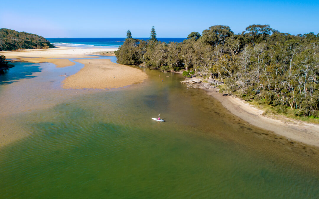 Discover the Coffs Coast: A Premier Ecotourism Destination