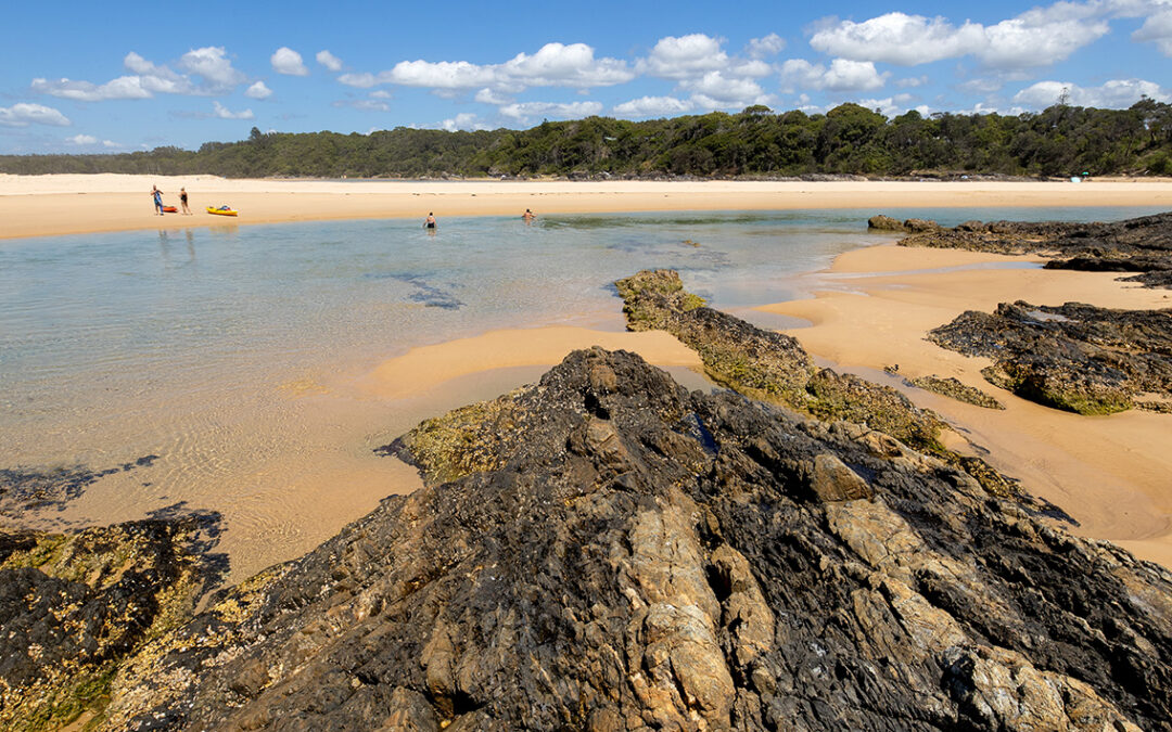 Top 5 Nature Escapes Near Coffs Harbour