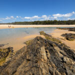 Bonville Creek Sawtell Coffs Coast