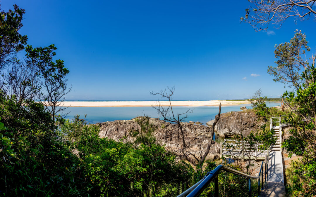 A Nature Lover’s Guide to the Coffs Coast